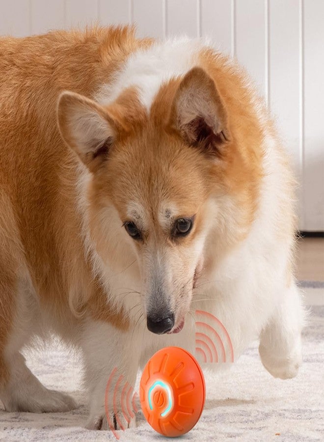 Qpets® Small Dog Ball with Glowing LED Lights, Non-Toxic TPE Rubber Puppy Chew Toys, Washable Pet Toy Ball One Hour Playtime for Anti-Boredom & Stress Relief (2Pcs, Orange) - Image 5